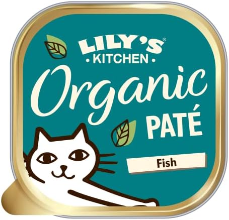 Lily's Kitchen Adult Lamb Casserole Complete Wet Cat Food (19 x 85 g) & Organic Fish Dinner Adult Wet Cat Food, 19 x 85g
