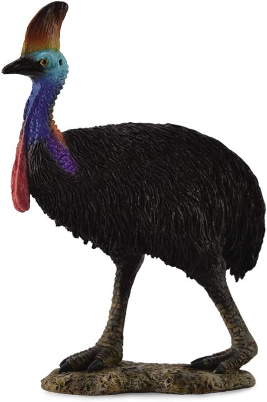 Southern Cassowary