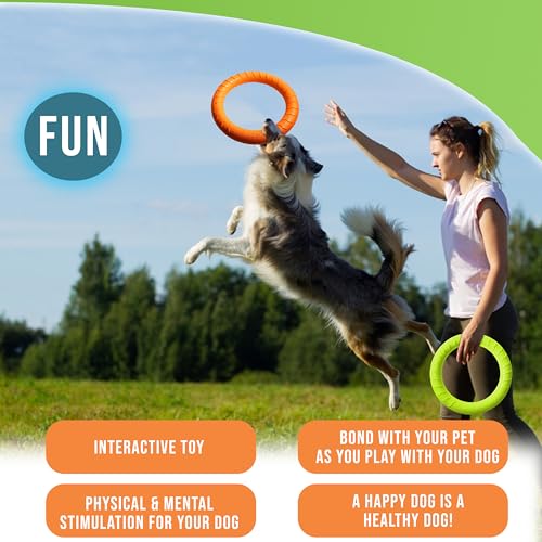 Dog Training Session with Rings and Whistle