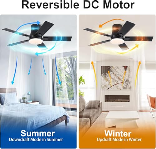 Image of Rayqueen 42 Inch Flush Mount Black Ceiling Fans with Lights and Remote