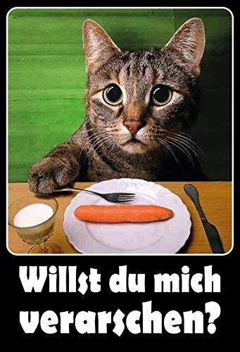 Blechschild Katze Spruch Willst du Mich verarschen Metallschild Wanddeko 20x30 cm Tin Sign Targa di Metallo da Parete Lamiera Multicolore 20 x 30 cm