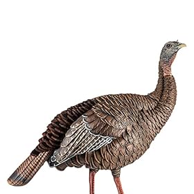 Avian-X-HDR-Hen-Turkey-Decoy-Durable-Realistic-Lifelike-Standing-Hunting-Decoy-with-2-Removable-Heads-Carry-Bag-Integrated-Stake-AVX8106