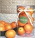 Artificial Faux Fake Fruit Orange
