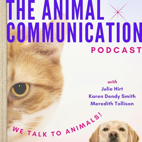 The Animal Communication Podcast cover art
