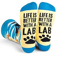 Life is Better With a Lab