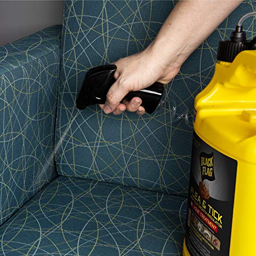 Image of Black Flag Extreme Flea Killer Plus Growth Regulator RTU for Insects, 1-gal, 128 Oz