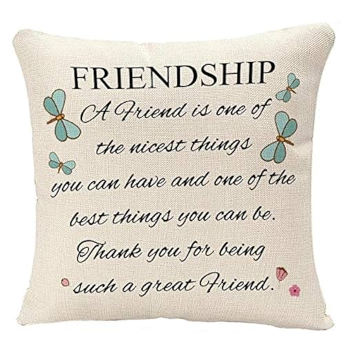YGGQF - Funda de cojín cuadrada de 45,7 x 45,7 cm, diseño con texto en inglés 'A Friend is One of The Nicest Things The Best Friendship Gift to Friends'