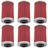 BEAR FLAG EDITION for 58038005000 58038005100 90138015000 58038005101 Oil Filters for KTM