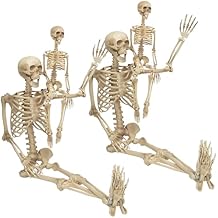 Life Size Human Skeleton Decoration Value 4 Pack- Adult 5 4" & Child 2- Articulated Movable Limbs, Weather Resistant Indoor/Outdoor- Anatomical Science and Biology Models for Medical Study