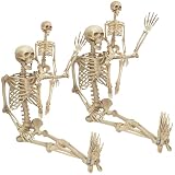 Life Size Human Skeleton Decoration Value 4 Pack- Adult 5' 4" & Child 3' | Weather Resistant Indoor/Outdoor Decorations with Articulated Limbs and Stay in Place Bones for Parties, Graveyards