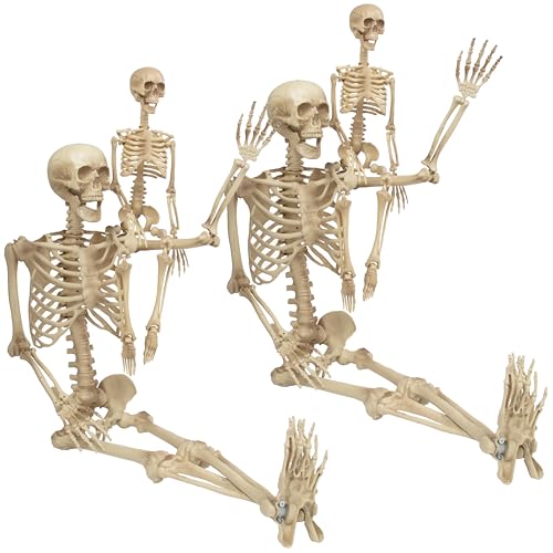 Life Size Human Skeleton Decoration Value 4 Pack- Adult 5' 4" & Child 2'- Articulated Movable Limbs, Weather Resistant Indoor/Outdoor- Anatomical Science and Biology Models for Medical Study by SCS Direct - Used condition - US$54.60