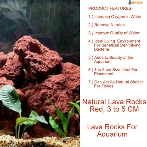 STMM Store STMM Natural Lava Rocks for Aquarium, Red, 1-2 inch, 1 kg - Image 3