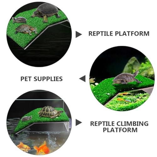 Plate-Forme de Tortue Terrestre Durable Multifonctionnelle pour Reptile