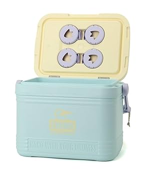 CHUMS - 新品　CHUMS Camper Cooler クーラーボックス　チャムス  O CHUMS チャムス Camper Cooler 18L キャンパークーラー CH62