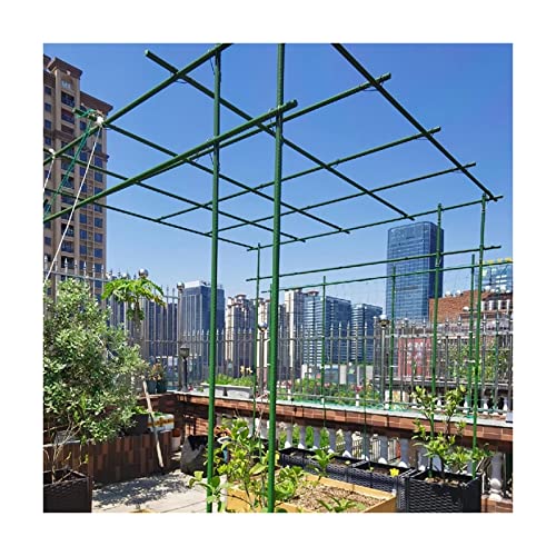 XLHWJCP 20 Stück Pflanzenstab Rankhilfe Zimmerpflanzen Rankhilfen für Kletterpflanzen für Topfpflanzen Kletterpflanze Tomaten Gurke Pflanze Käfig Spalier robust (L:150cm/59in,D:20mm/0.78in)