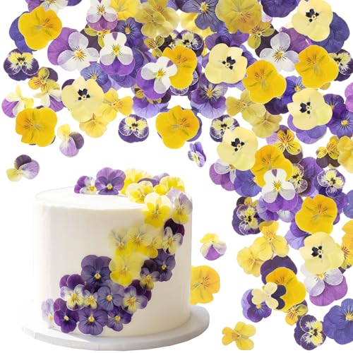 Floruvia 40 pièces 8 Types de Fleurs séchées Naturelles, pour décorer des gâteaux, mélange de pensées tricolores pour Cocktails, Artisanat créatif DIY