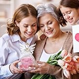 Touloube B0BVPWCTY6 lato 4