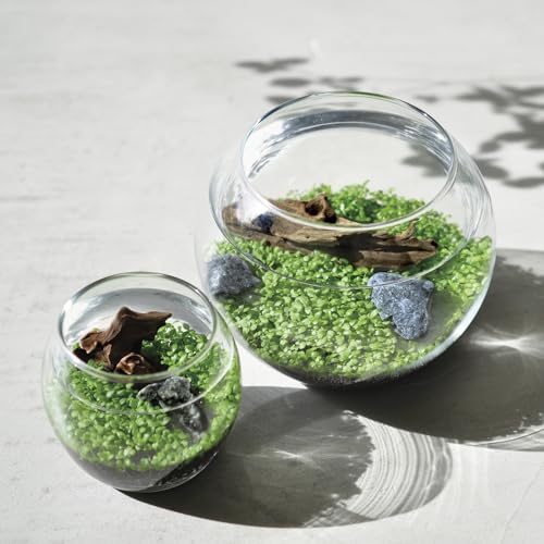聖新陶芸 アクアリウム 水草 栽培キット 室内 栽培セット S 12cm 育てる水草 苔テラリウム GD-812 3枚目