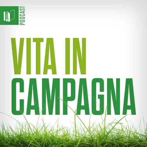 『Vita in Campagna』のカバーアート