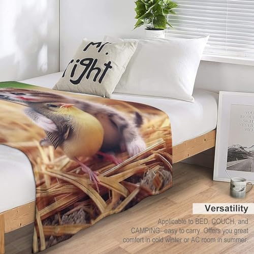 Couverture en flannel chat plaid canapé chaud 130x150cm camping