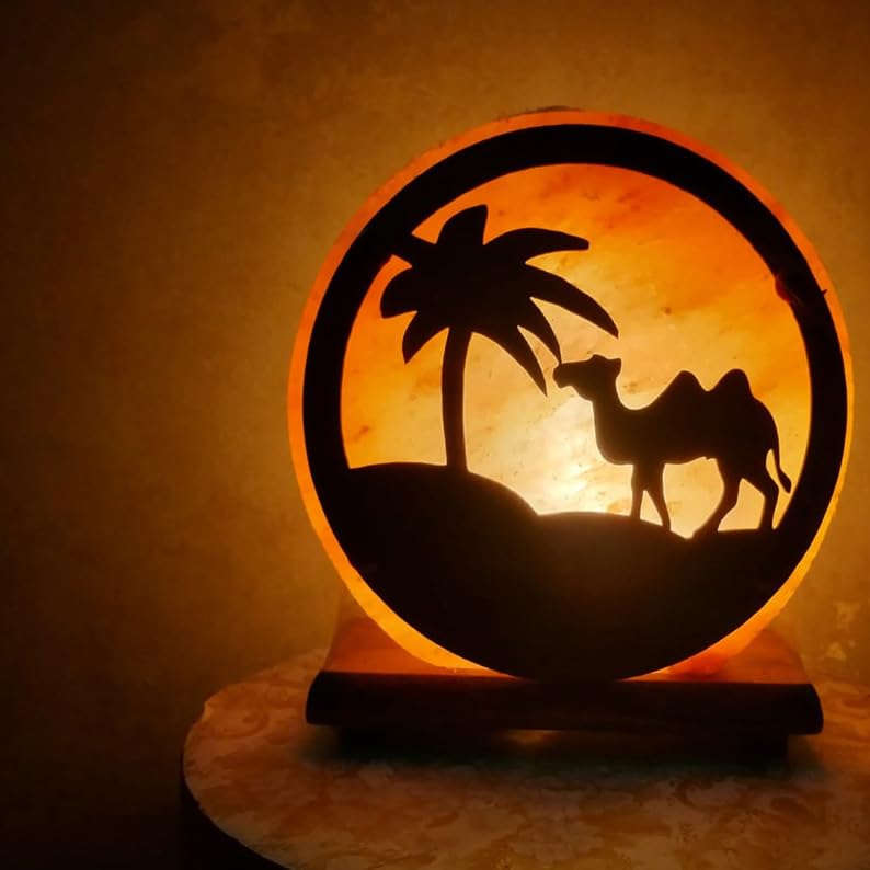 Himalayan Salt 3D Desert Camel Round Shape Lamp