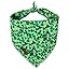 Lucky Shamrock