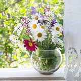 DOITOOL Transparent Hydroponic Self Watering Planter with Removable Basket Large Capacity Glass Flowerpot for Indoor Plants Visible Water Level for Easy Monitoring and Root Oxygen - Image 4