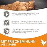 IAMS for Vitality Katzenfutter trocken Huhn - Trockenfutter für Katzen im Alter von 1-6 Jahren, 1,5 kg