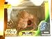 Star Wars Power of The Force Action Figure Playset - Rancor and Luke Skywalker