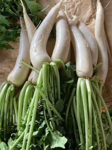 訳あり 大根」の人気商品一覧 | 安い商品を通販サイトから探す - 価格.com 訳あり 大根」の人気商品一覧 | 安い商品を通販サイトから探す - 価格.com