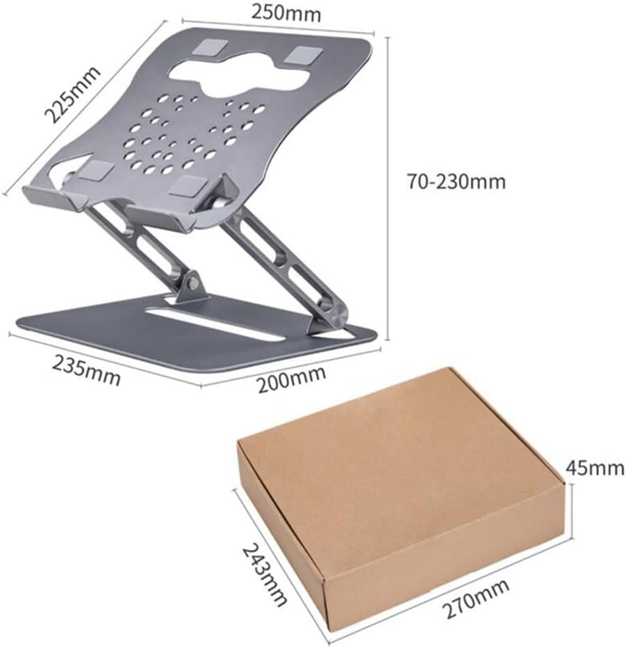 デニス・ロッドマン フォトオートグラフ 額入りサイン 証明書付き CS