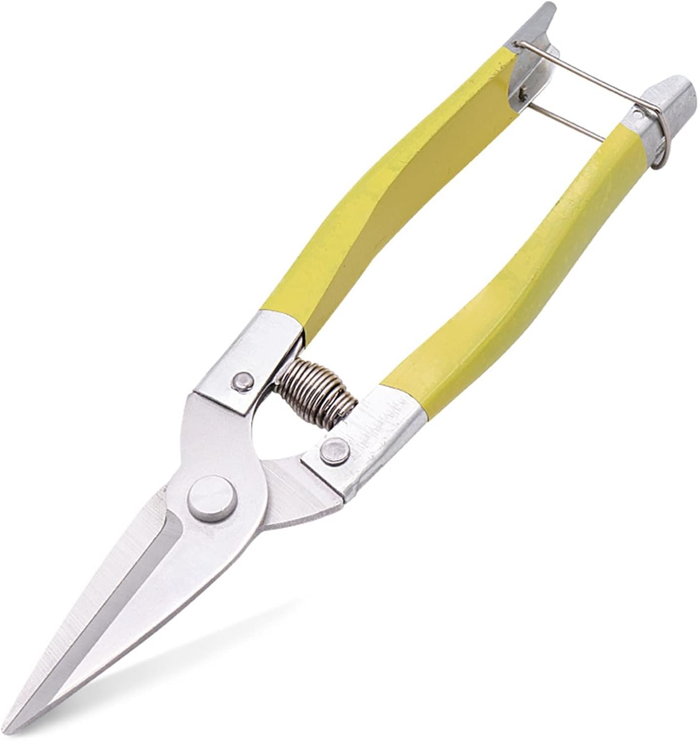 INLIMA Gardening Scissors Branch pruning shears labor-saving branch shears high branch shears fruit picking bonsai tools gardening shears (Size : Small)