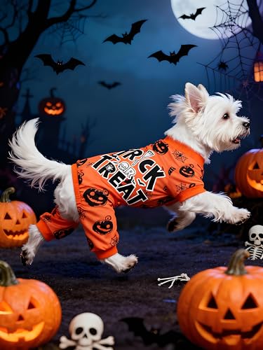 Hund Halloween Pyjamas Weiche Halloween Hundekleidung Kürbis Hunde Pjs Onesie mit Füßen Welpen Pyjamas für Kleine Mittlere Hunde Junge Mädchen Katze Bekleidung S