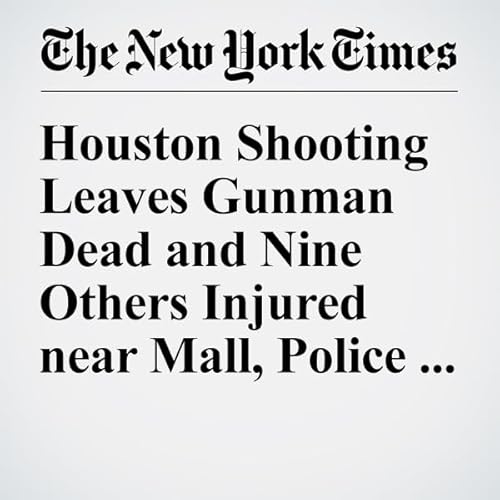 Houston Shooting Leaves Gunman Dead and Nine Others Injured near Mall, Police Say cover art