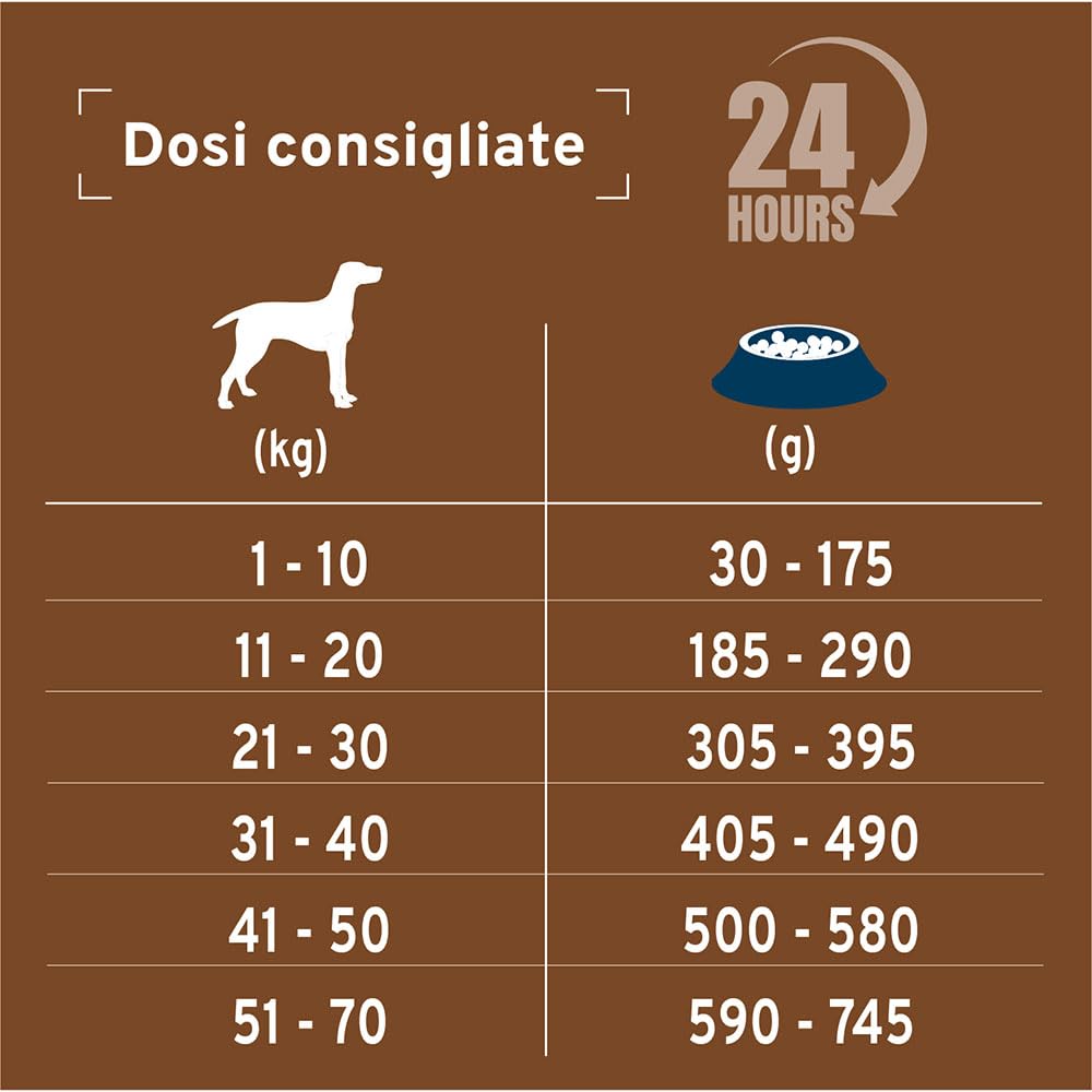 FORZA10 Dog Active Intestinal Colon FASE 2 | Agnello e Sorgo | Alimento Dietetico per Sensibilità Intestinale | Cibo Secco per Cani | Sacco da 10 Kg