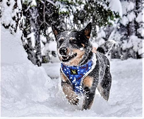 Ecobark Dog Harness - Eco-Friendly Max Comfort Harnesses - Luxurious Soft Mesh Halter - Over The Head Harness Vest- No Pull And No Choke For Puppy, Small Breeds & Medium Dogs (Large, Nautical Anchor) #TOP3