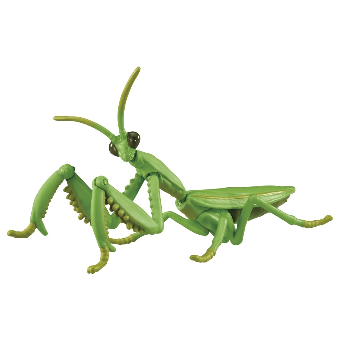 Amazon.co.jp: タカラトミー(TAKARA TOMY) アニア AL-32 オオカマキリ
