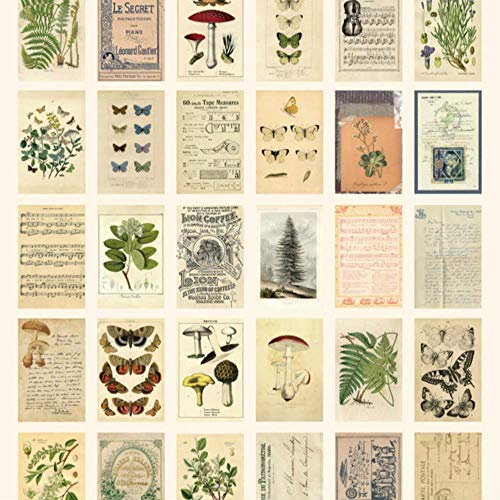 Miner Scatola di Carta da 30 Pezzi Antica Foresta Animali Piante Esemplare Cartolina Cartoline Regalo di Auguri di Scrittura Creativa Stile retrò Vintage, Esemplare