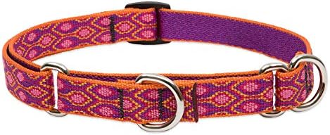 LupinePet Originals 3/4" Alpen Glow 14-20" Martingale Collar for ...