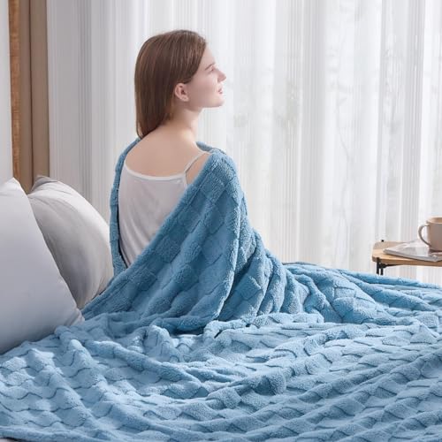 NEWCOSPLAY Super Soft Queen Blanket Blue Premium Silky Flannel Fleece 3D Checkered Lightweight Bed Blanket All Season Use (Blue Checkered, Queen(90"x90"))