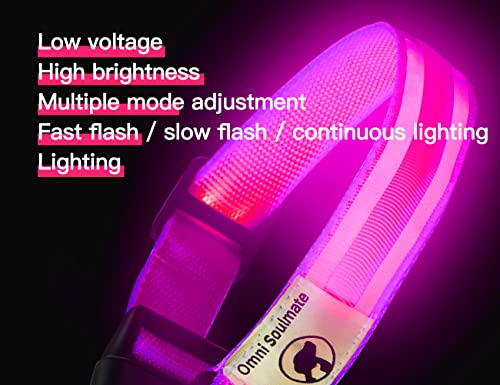 Omni Soulmate Led Dog Collar - Light Up Collars For Dogs At Night, Small & Large Dogs, Personalized Dog Collars, Lighted Dog Collars, Dog Collar Light #TOP3