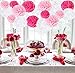 Pink Paper Party Decoration kit - Tissue Paper Pom Poms Lantern Fans Set, Wall Hanging Gift for Wedding Bridal Shower Birthday Valentines Day Home Table Centerpiece Office Buffet Supplies Background