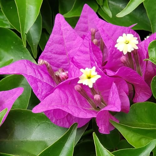 Sobriety Is Easy When...Acceptance Is Practiced