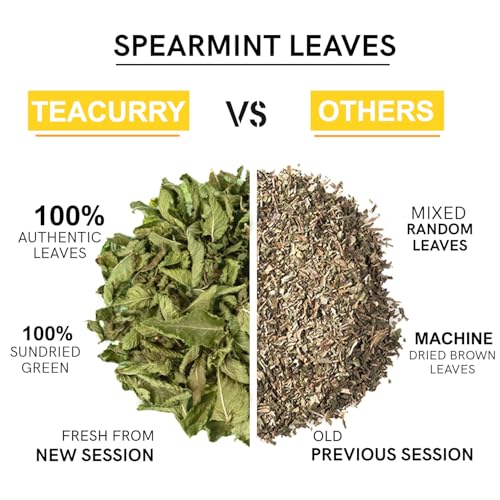 Image of TEACURRY Spearmint Tea Tin Can - For PCOS, PCOD, Hormonal Balance, Acne & Unwanted Facial Hair - 50 gms