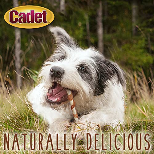 Cadet Gourmet Beef Hide & Chicken Twists Dog Treats - Healthy & Natural Rawhide & Chicken Dog Treats For Small & Large Dogs - Inspected & Tested In Usa, 5 In. (50 Count) #TOP3