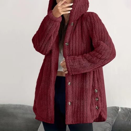 Thermal Fuzzy Hooded Basic Outfits for Women Fall Winter Long Sleeve Jacket Hoodies Outfits Women 2025 Y2K2
