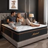 Queen 14 Inch Hybrid Mattress in a Box, Soft Plush for Side Sleepers,7-Zone