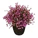 VGIA home decor Purple artificial retro potted plant,plastic flower ,mini tree.
