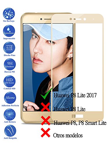 Todotumovil Protector de Pantalla Huawei P8 Lite 2017 Dorado Completo 3D Cristal Templado Vidrio Curvo para movil