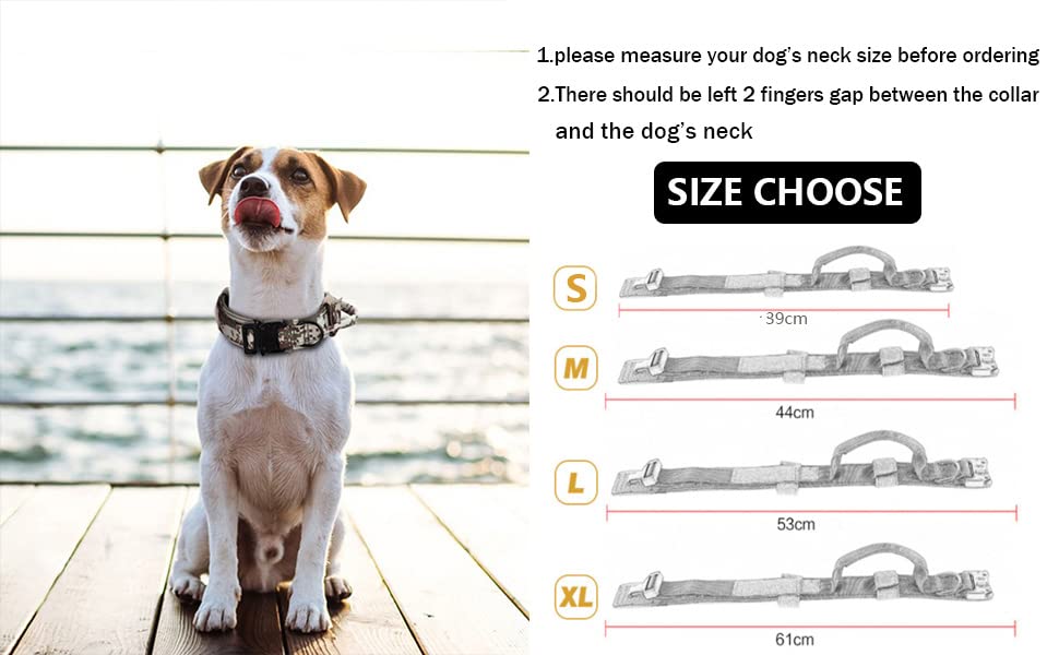 Collar táctico para perros A4DOG de nylon ajustable miniatura 2
